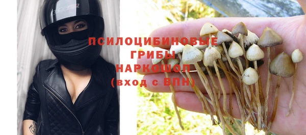 прущие грибы Россошь