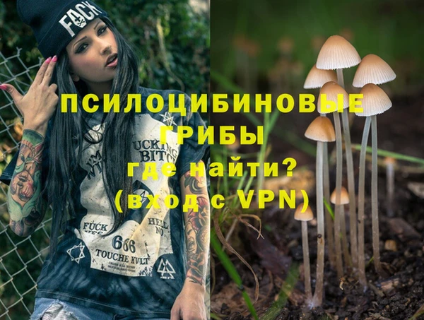 прущие грибы Россошь