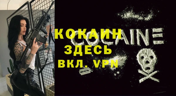 прущие грибы Россошь